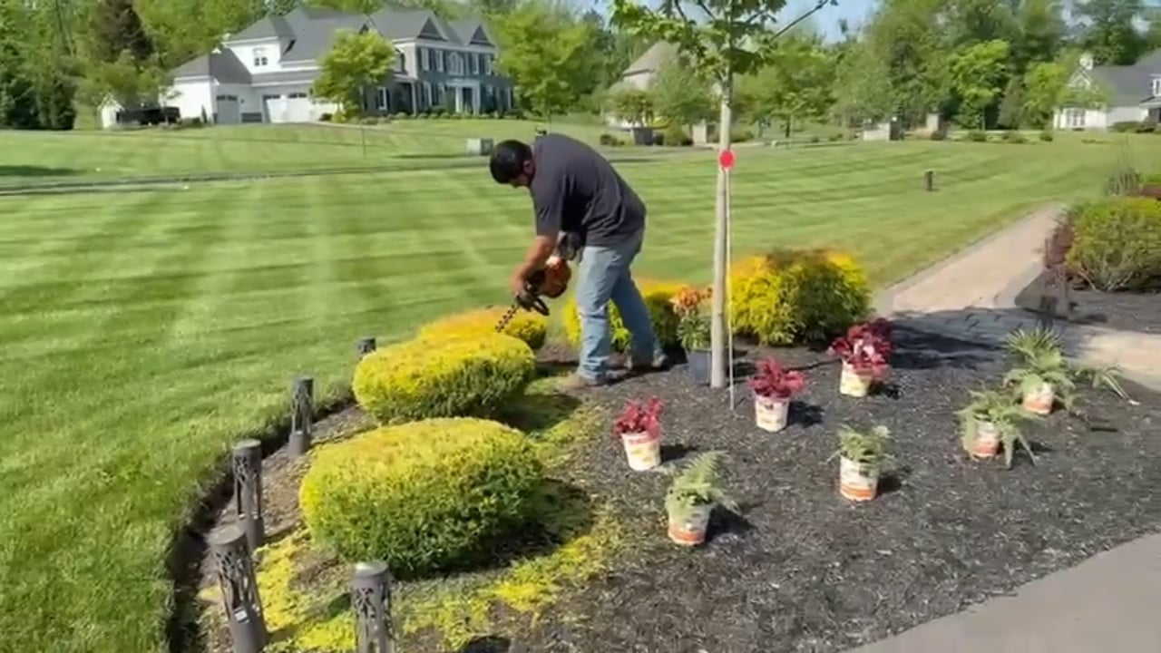 https://i.vimeocdn.com/video/2035986225-d53ebfd19ffd897c764726dc1f1ab5c4be39a5b67237e2ec8ce6606722d95145-d