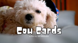 Related Embedded Video Item Thumbnail