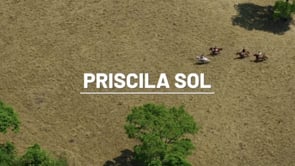Thumbnail do vídeo
