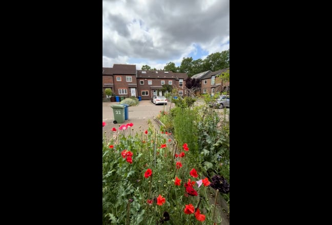 All 2 bed Garden House  or a room in Canada Water Main Photo