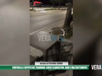 Teramo - Controlli a tappeto dei carabinieri: corse clandestine, armi e maltrattamenti