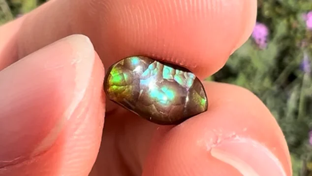1.34ct Teal Blue Mexican Fire Agate Stone | OpalPop