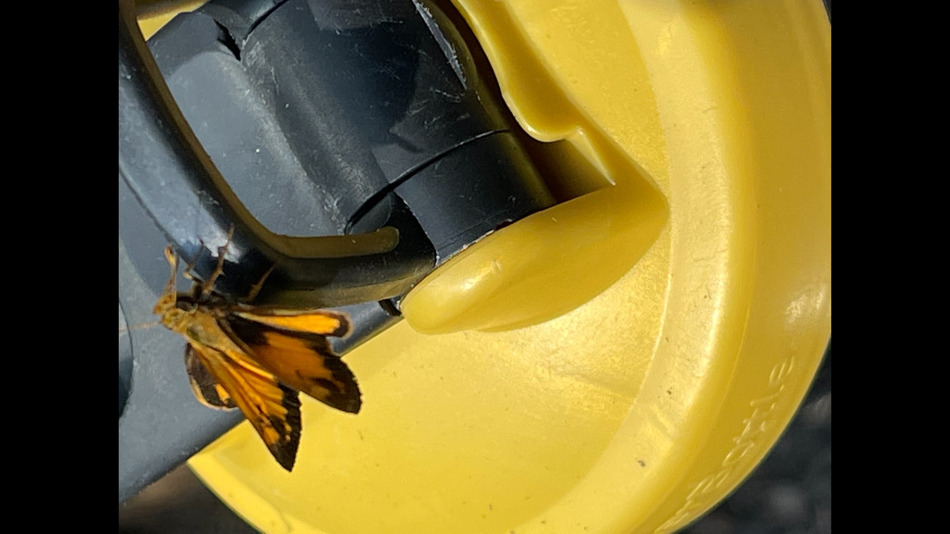 2025 June 09: Combining Strength and Gentleness in our Holding Environment