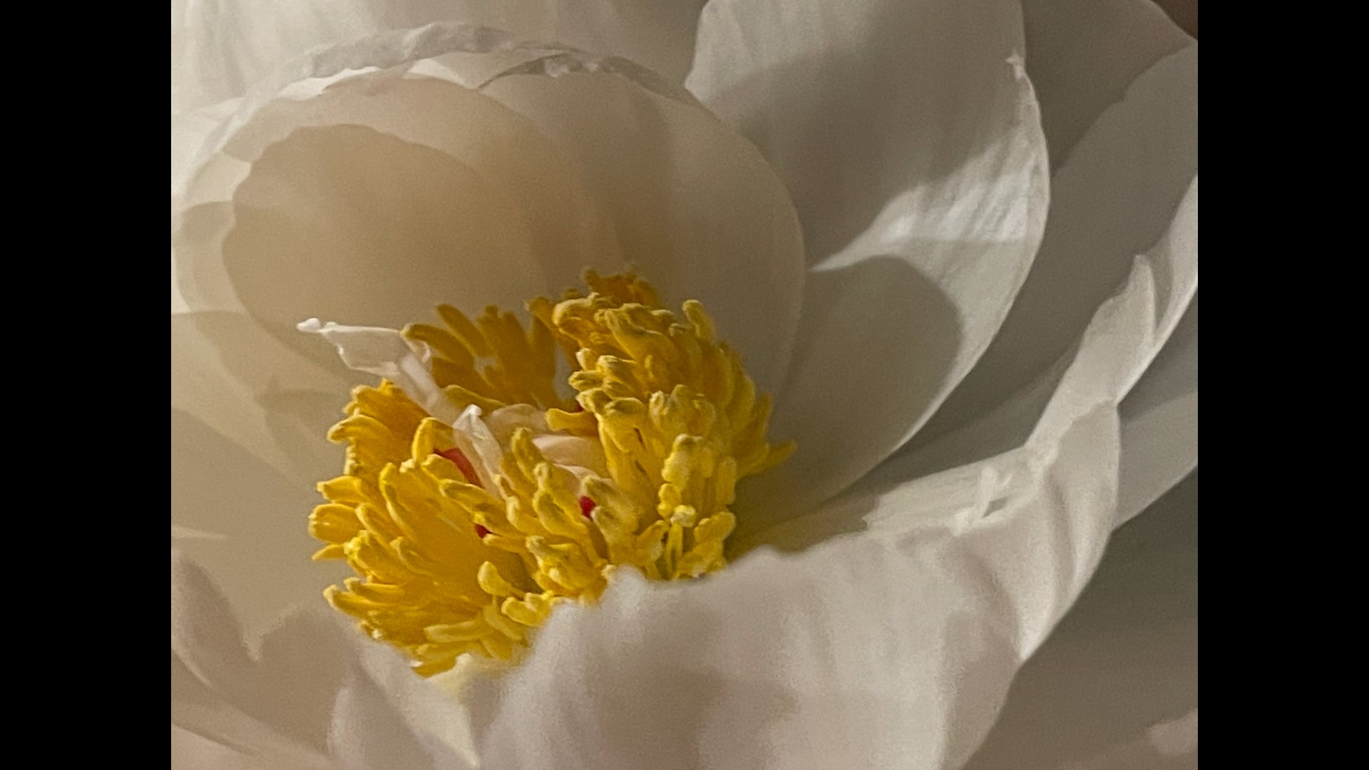 2025 June 16: Being Refuge