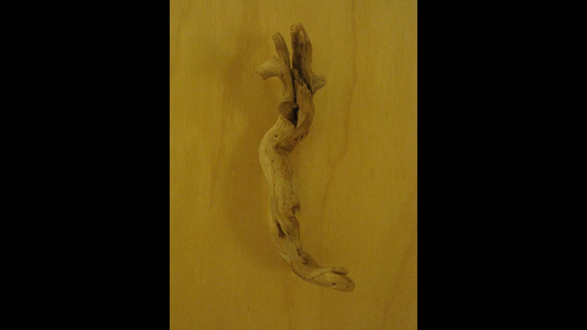 2025 June 23: The Precepts Are An Important Part of the Holding Environment