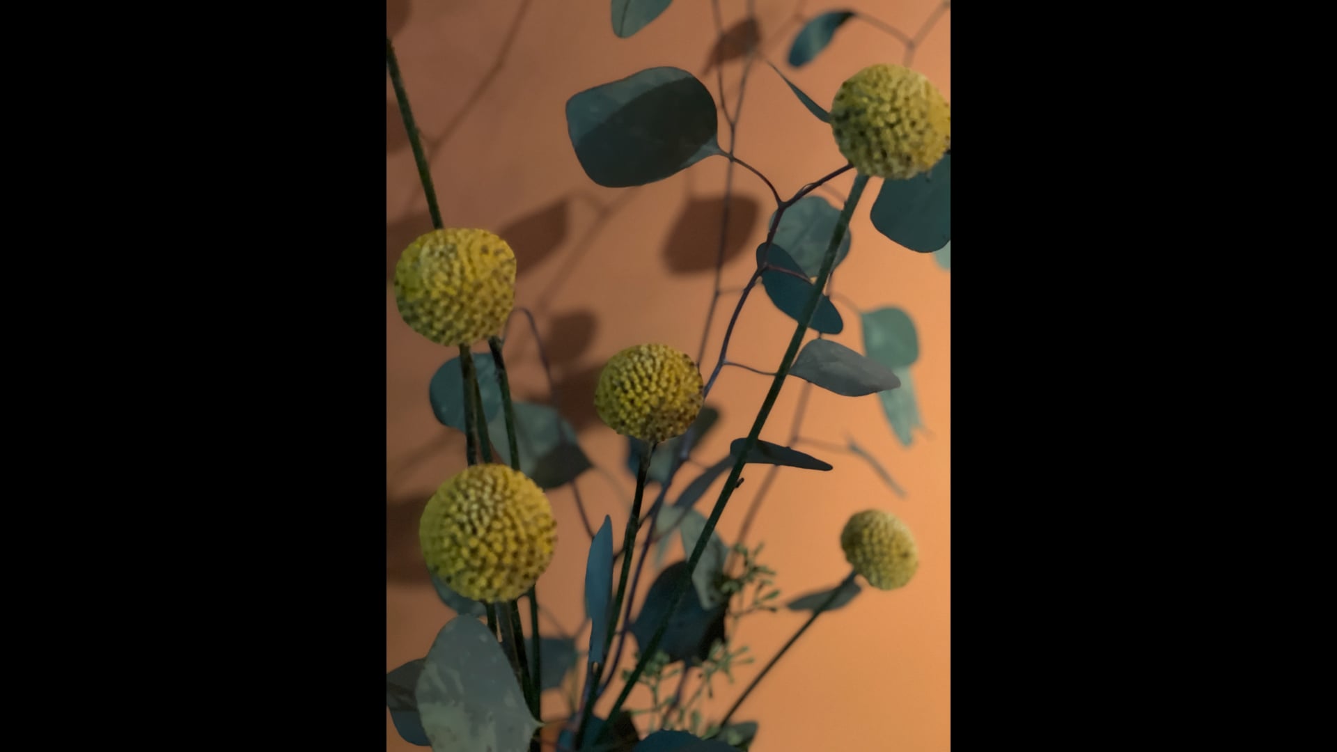 2025 June 25: Working with Fear