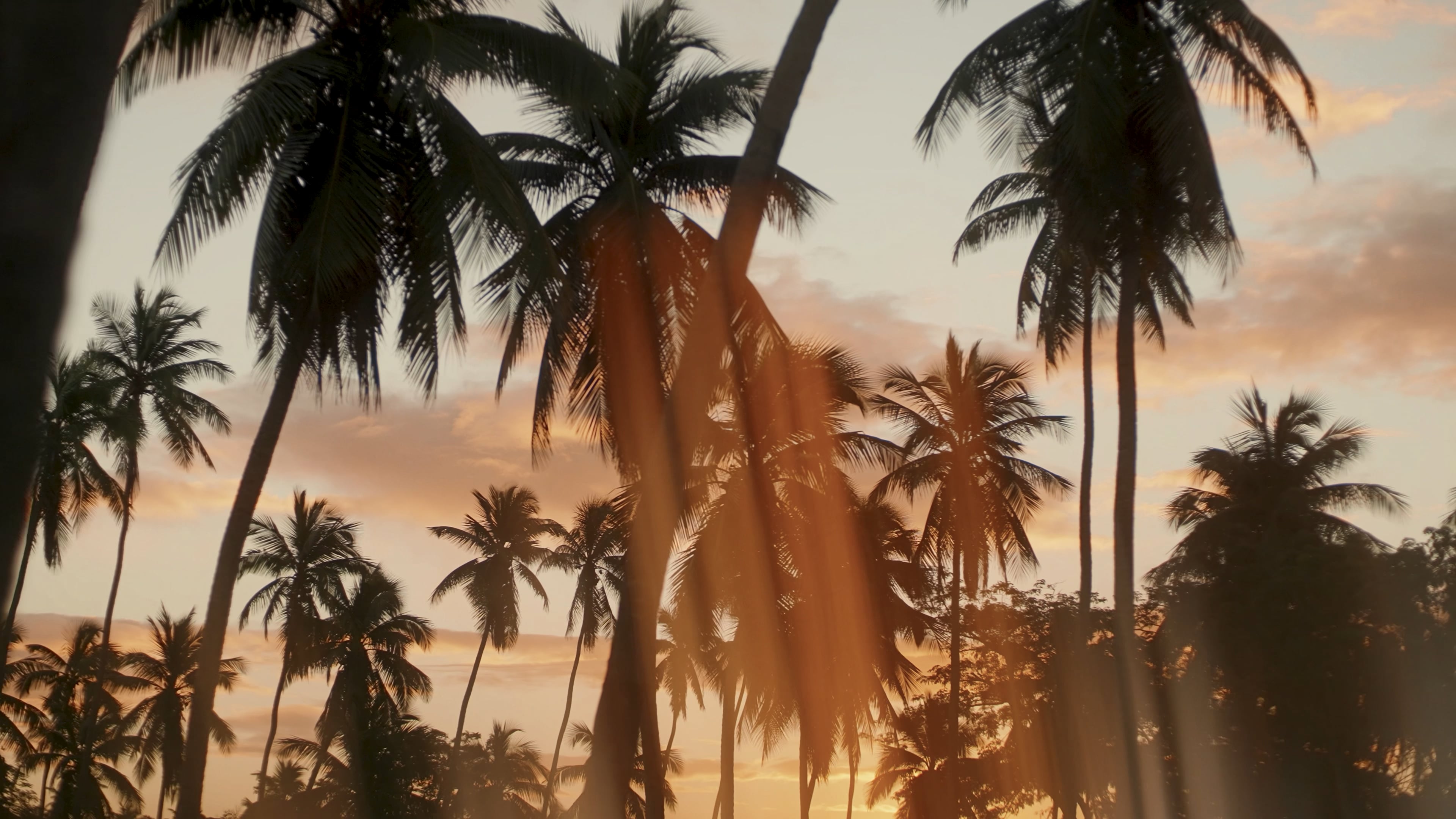 Mark Castle | Director, home: Works (Thumbnail landscape)