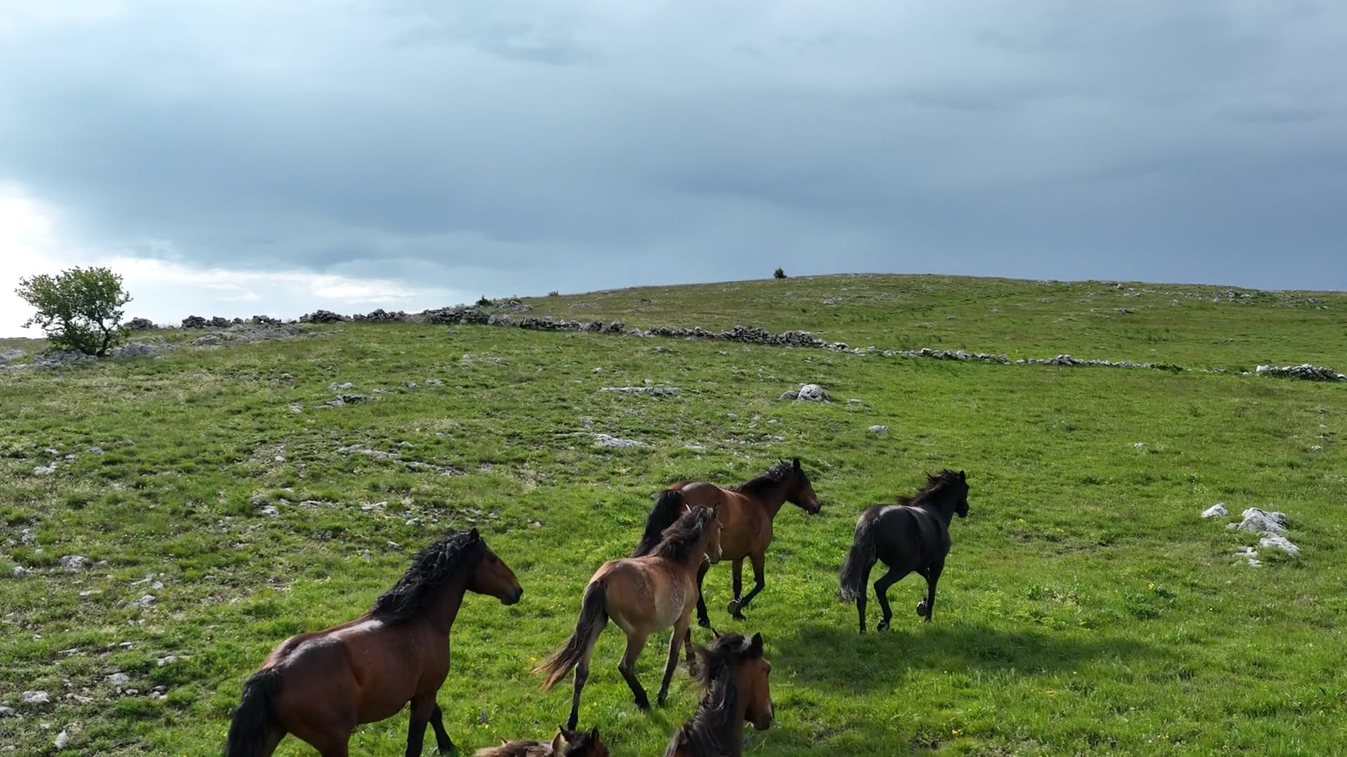 HD-TIP25-024 - Tales of Spooner Pond - Terry Rasner - web