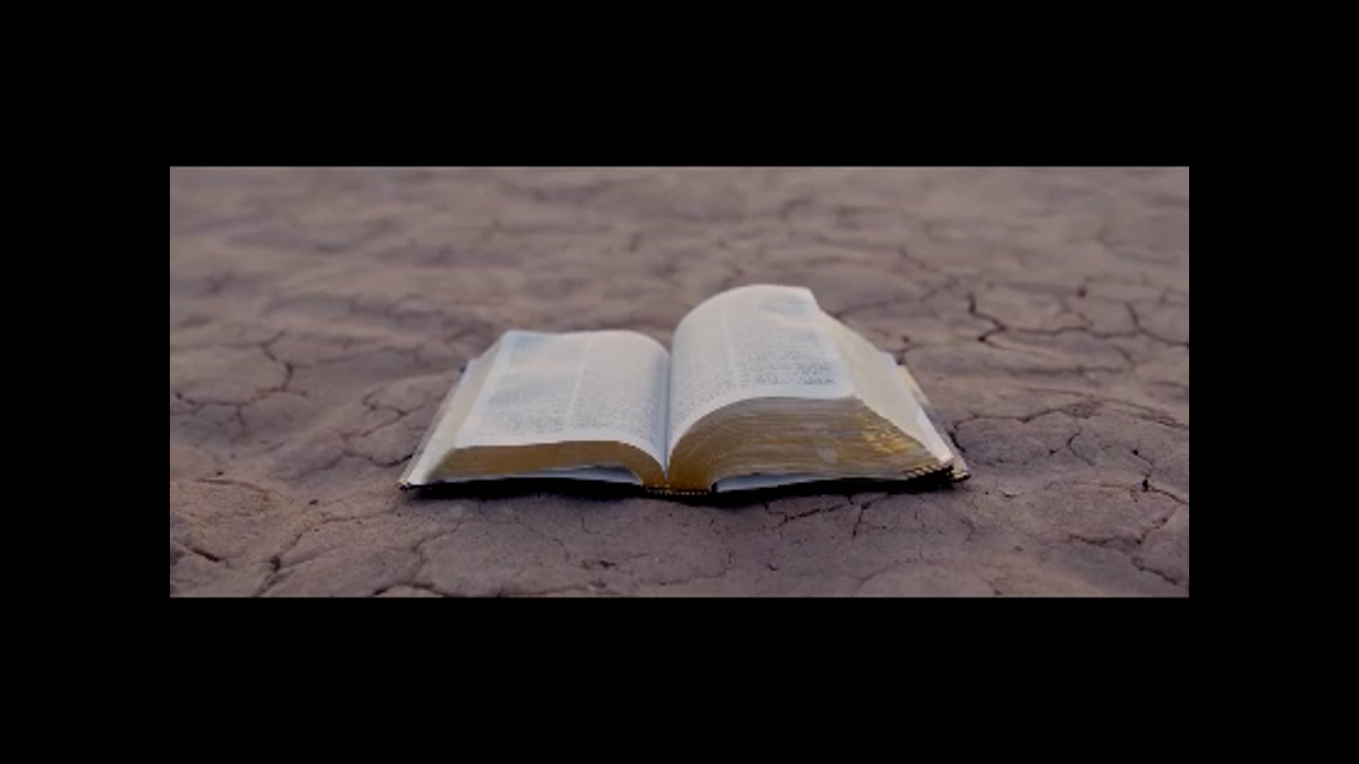 Faith In The Desert