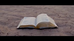 Faith In The Desert