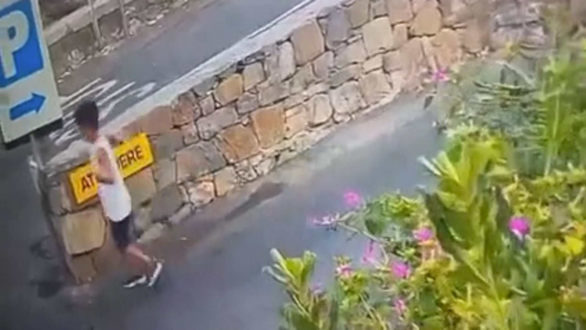 video