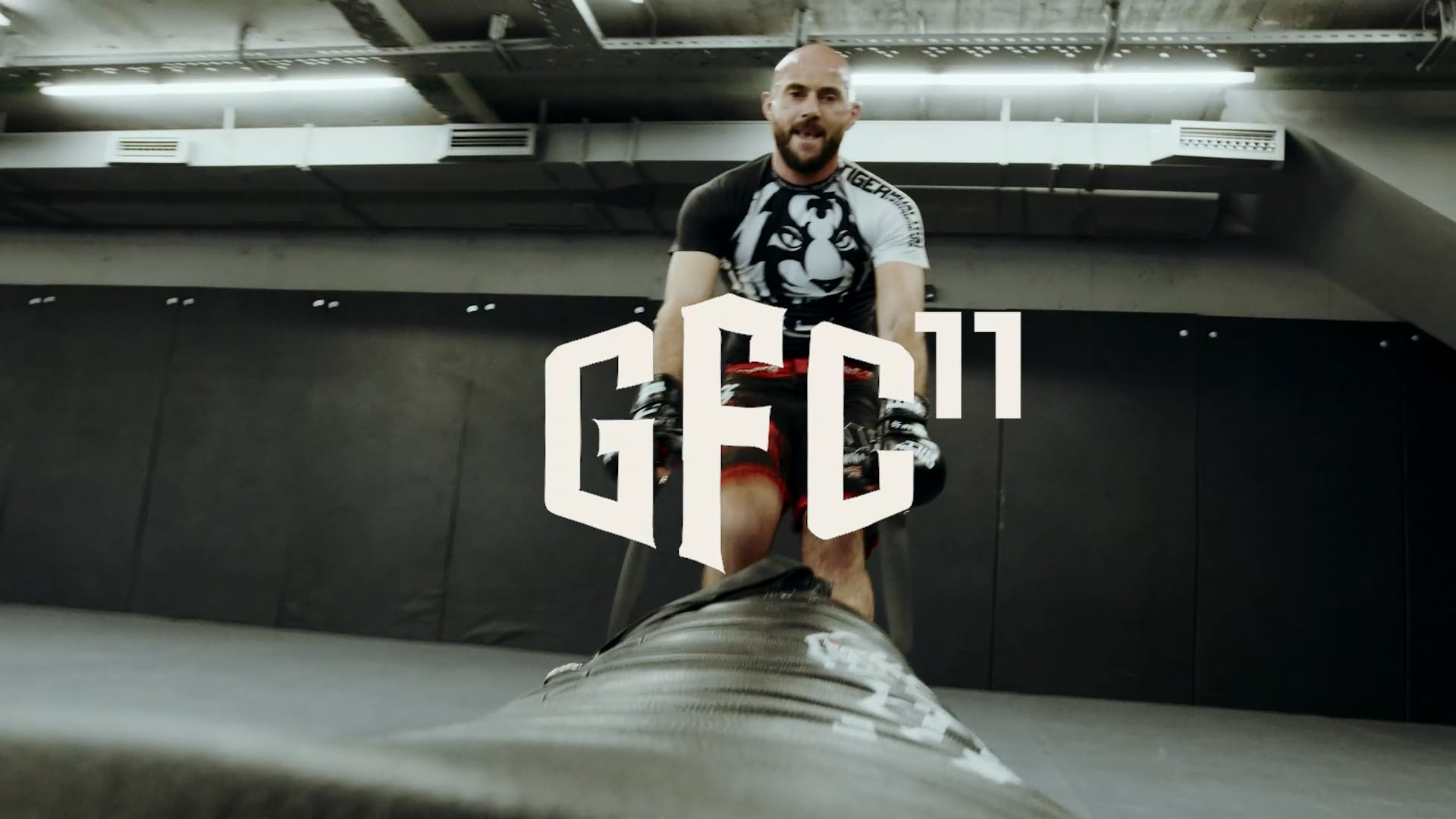 GFC 11
