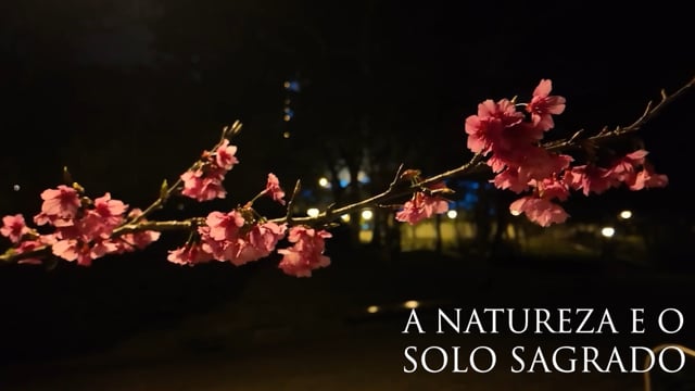 Capa do vídeo “A Natureza e o Solo Sagrado - Julho / 2025”