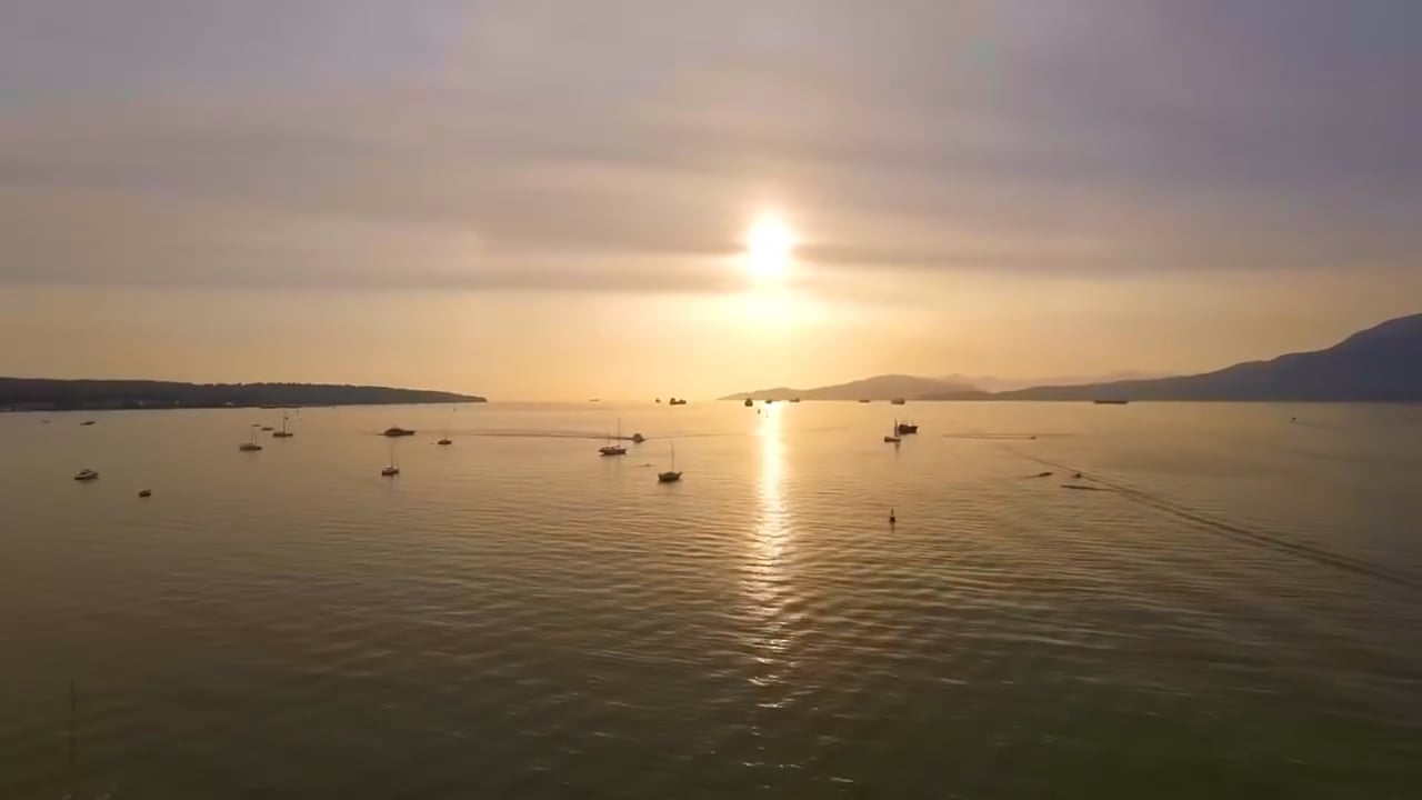 https://i.vimeocdn.com/video/2036469971-31a98445ca53732154c0e47e8c0ad36838ab99354e2ce505571eafb9b0497127-d