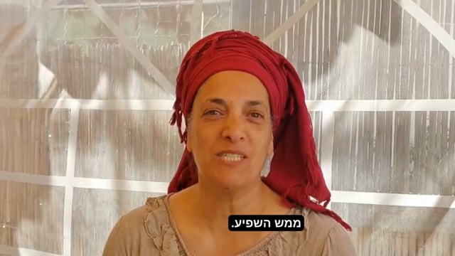 מאיה — המלצה על ההכשרה