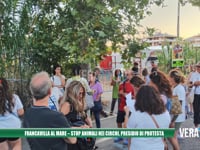 Francavilla al Mare - Stop animali nei circhi, presidio di protesta
