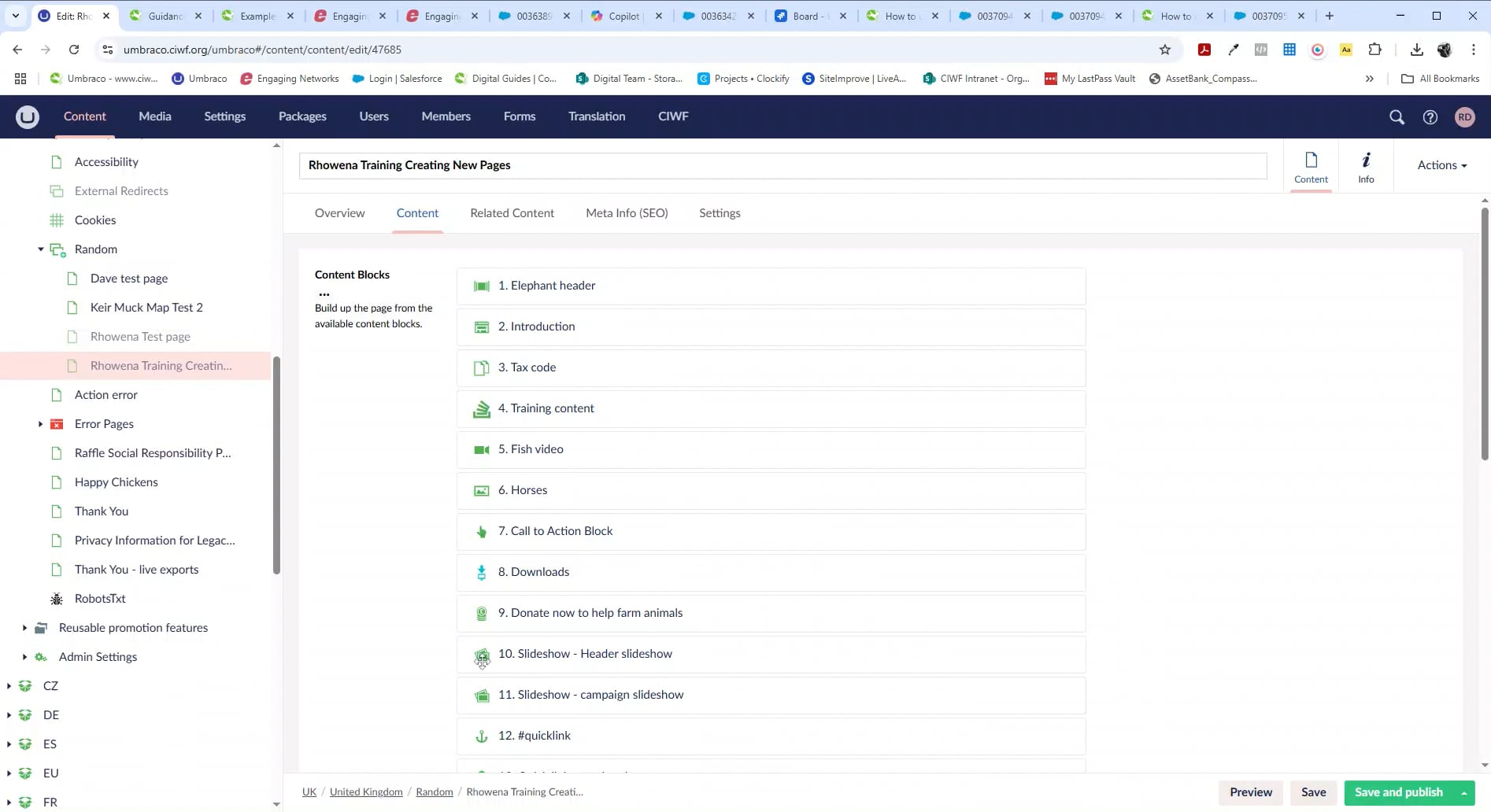 Copy and Paste Content Blocks | Videos & Movies on Vimeo