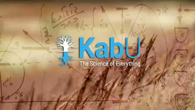 Jul 13, 2025 – Lesson #3 – The Rav, The Group & The Books