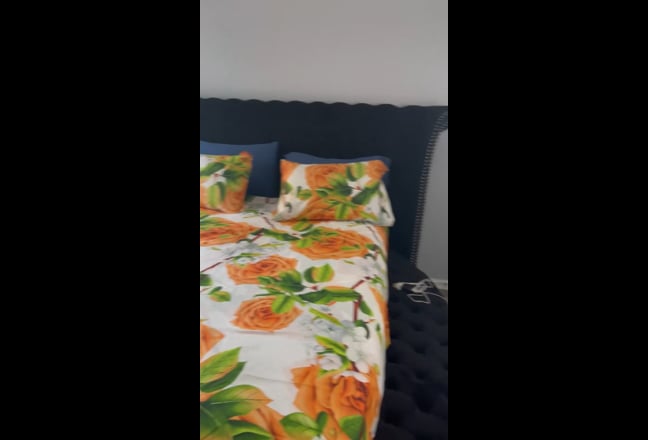 Luxury apartment in west Bronx  Main Photo