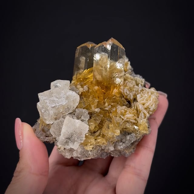 Gypsum var. Selenite and Halite