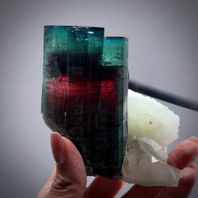 Tourmaline with Quartz and Cleavelandite