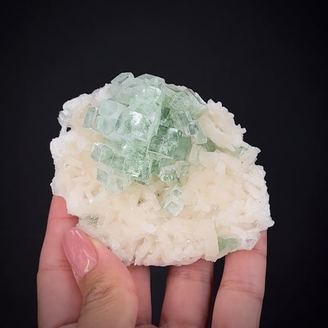 Fluorapophyllite on Stilbite