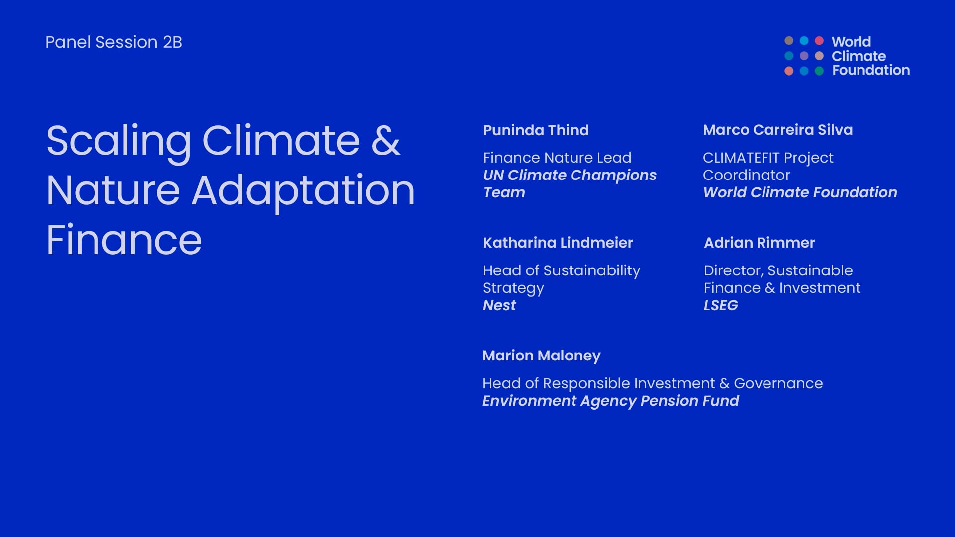 Panel Session 2B