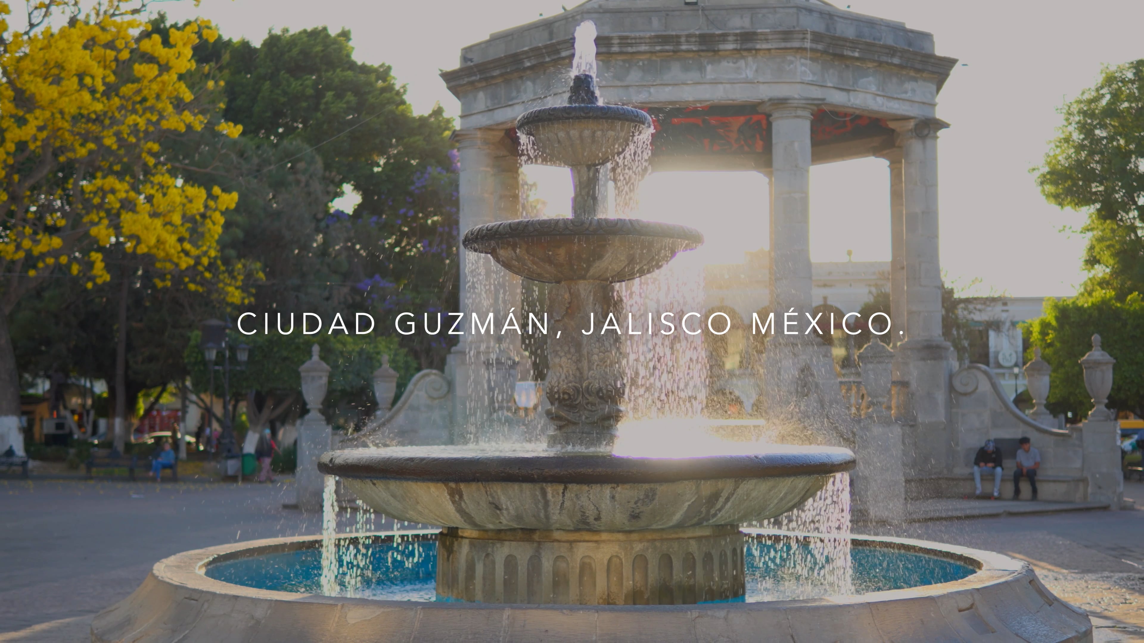 Trailer 9° Congreso del Aguacate