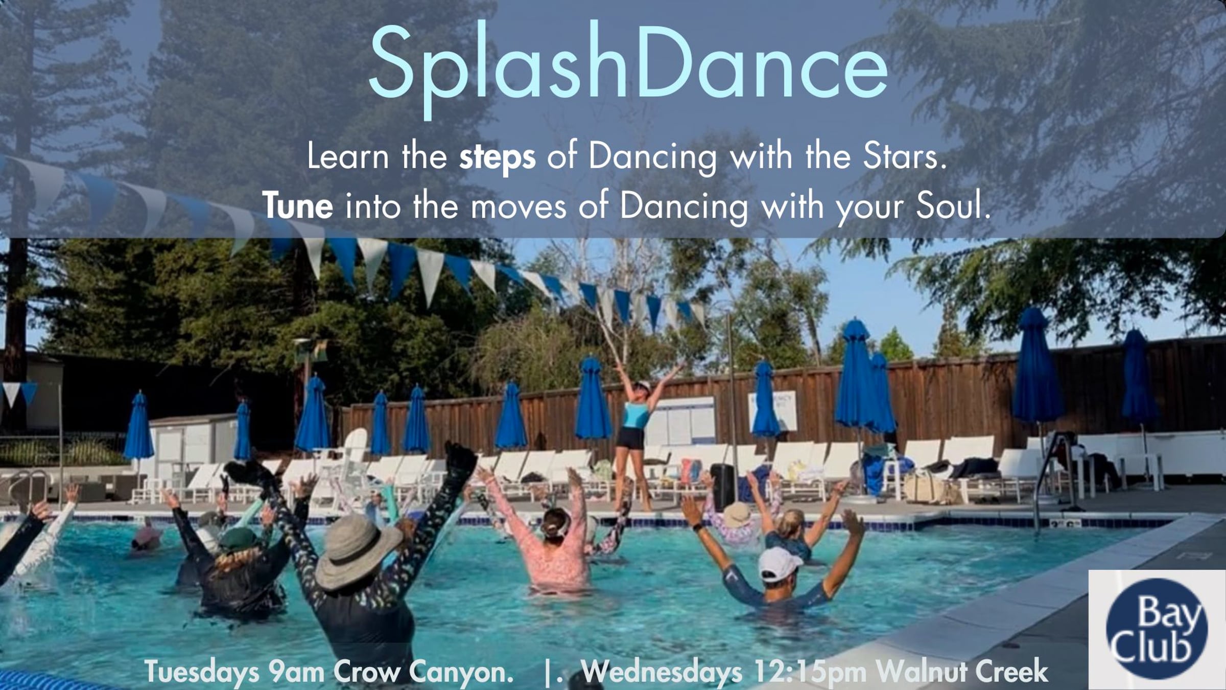 SplashDance | Tunestep 2025 | Videos & Movies on Vimeo