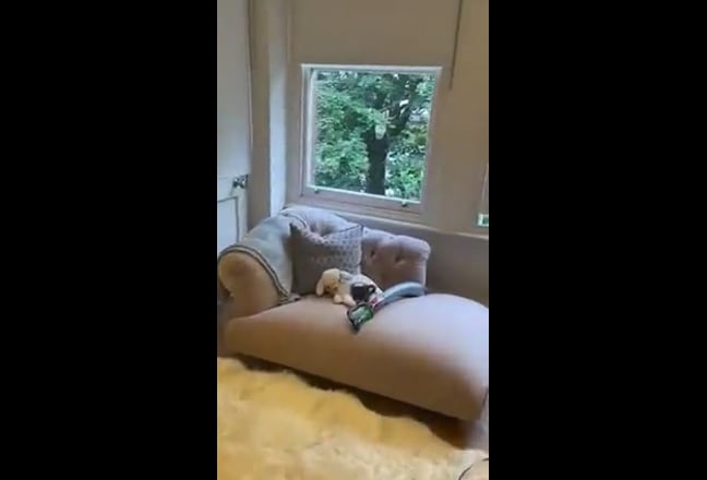 Video 1: Ensuite Room