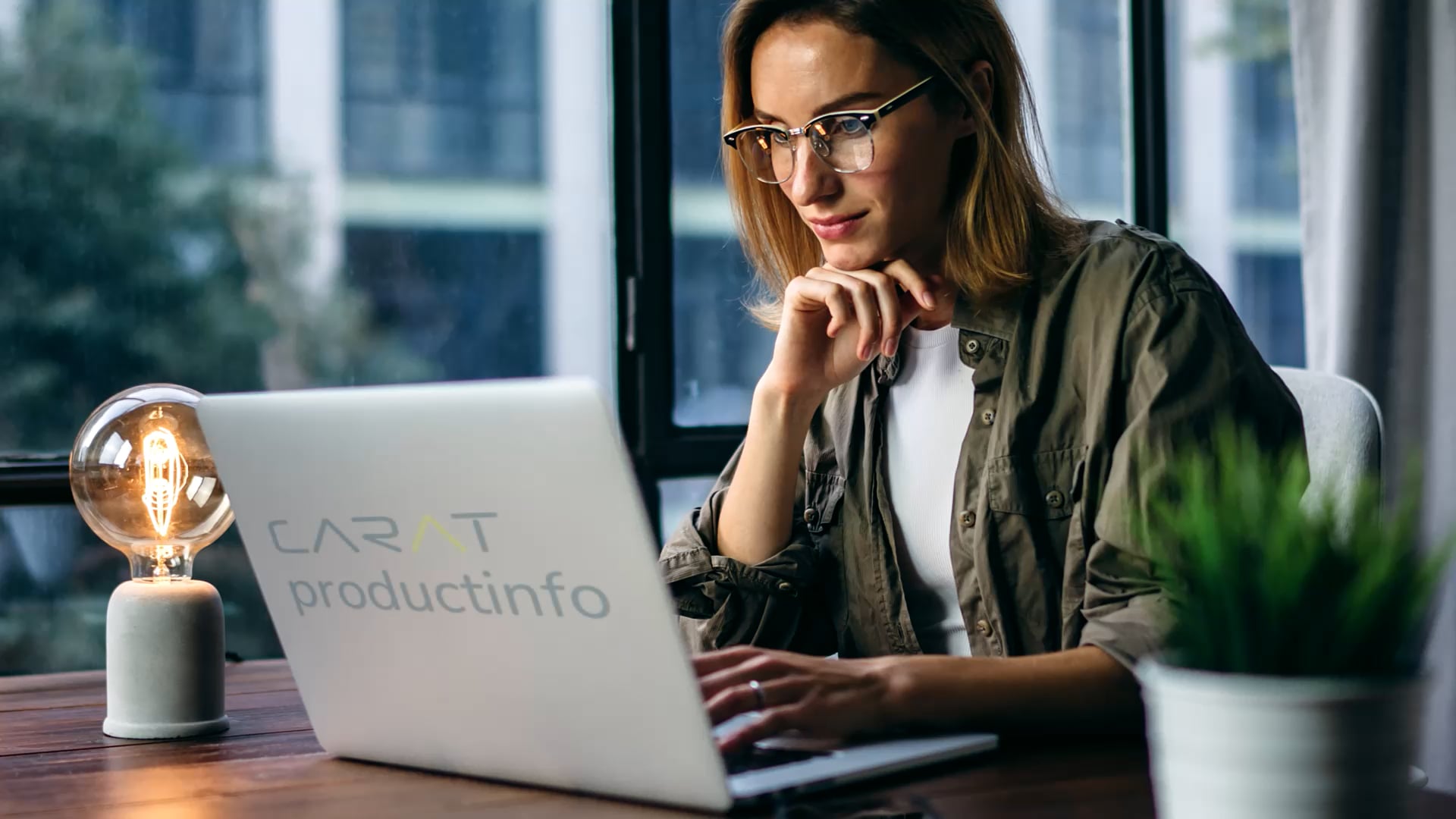 CARAT productinfo EN