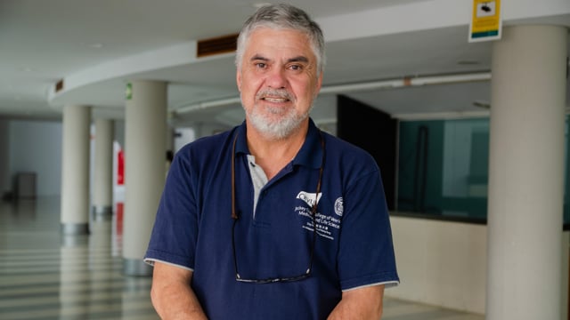 “La colina protegida frente al rumen se ha convertido en una estrategia eficaz para preservar la función hepática”