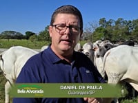 Convite Daniel de Paula<br>Canal do Boi