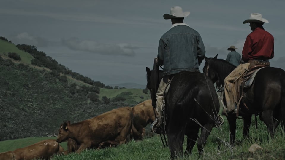 Wrangler: Thunderheads