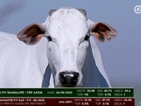 Lote 09