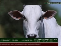 Lote 05