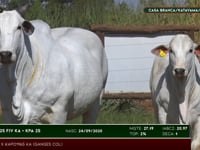 Lote 08