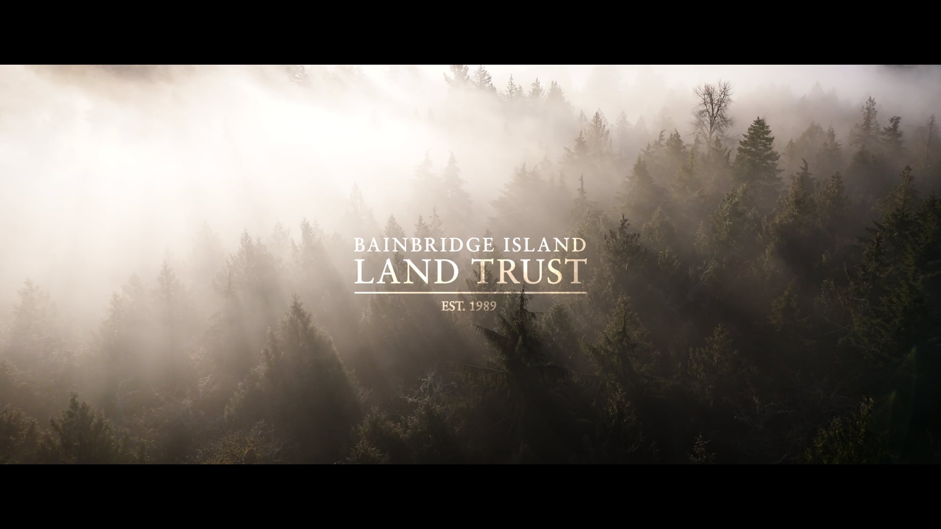 The Grand Forest East - A Conservation Celebration