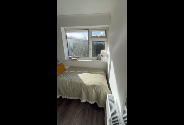 Newly Refurbished Single Room  Main Photo