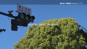 高校３年生の「増上寺研修」を実施しました