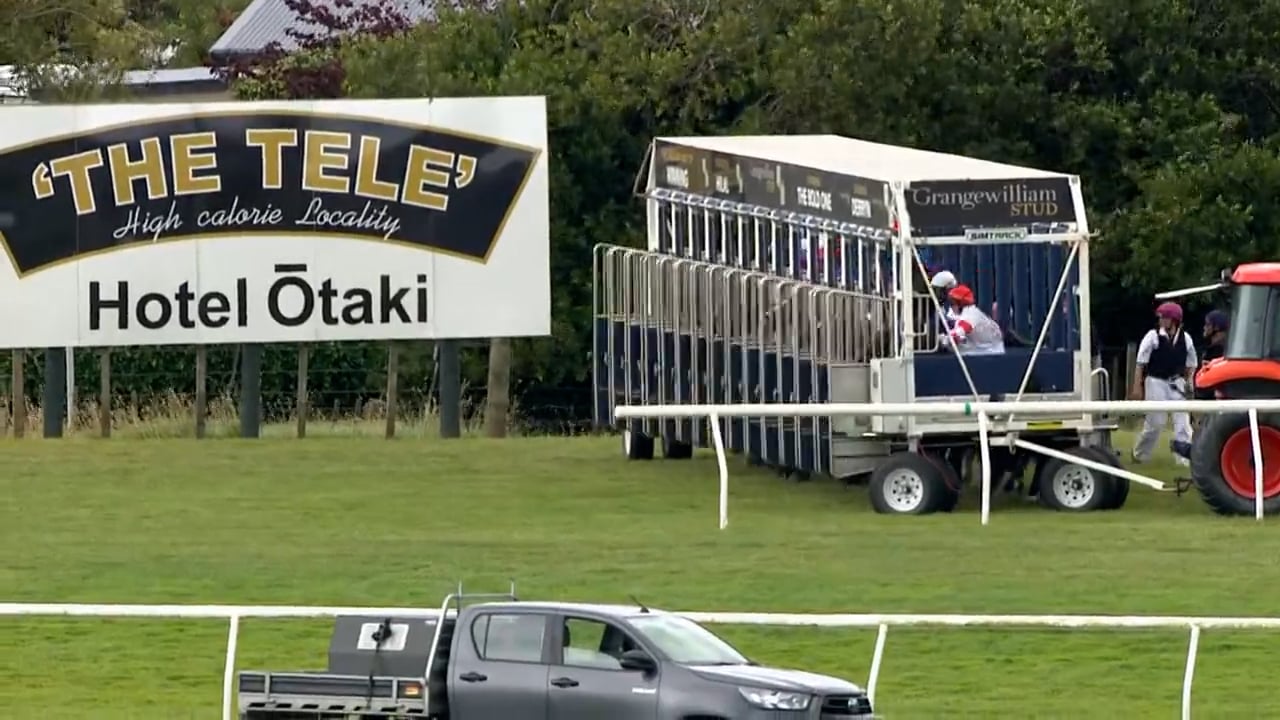 King Incanto New Zealand Race