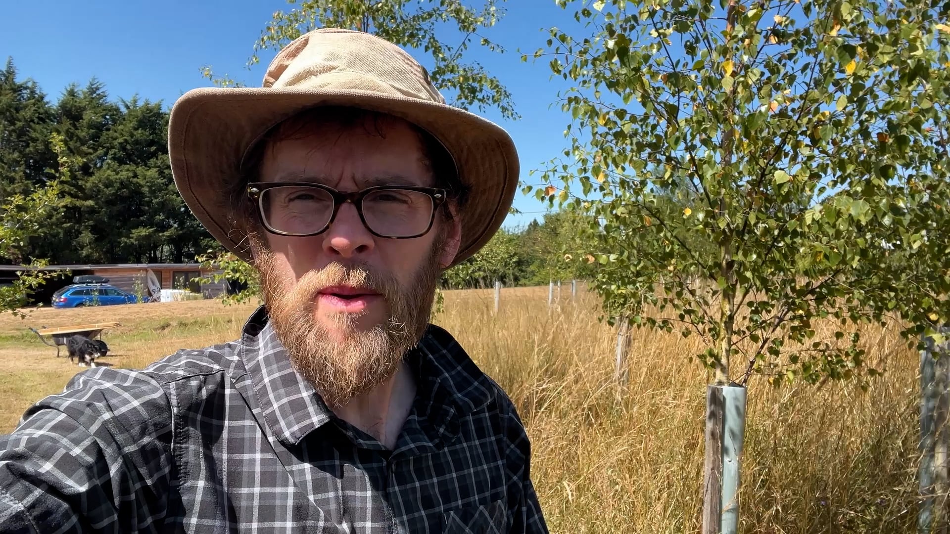 Ninebarrow Woodland Update - July 2025
