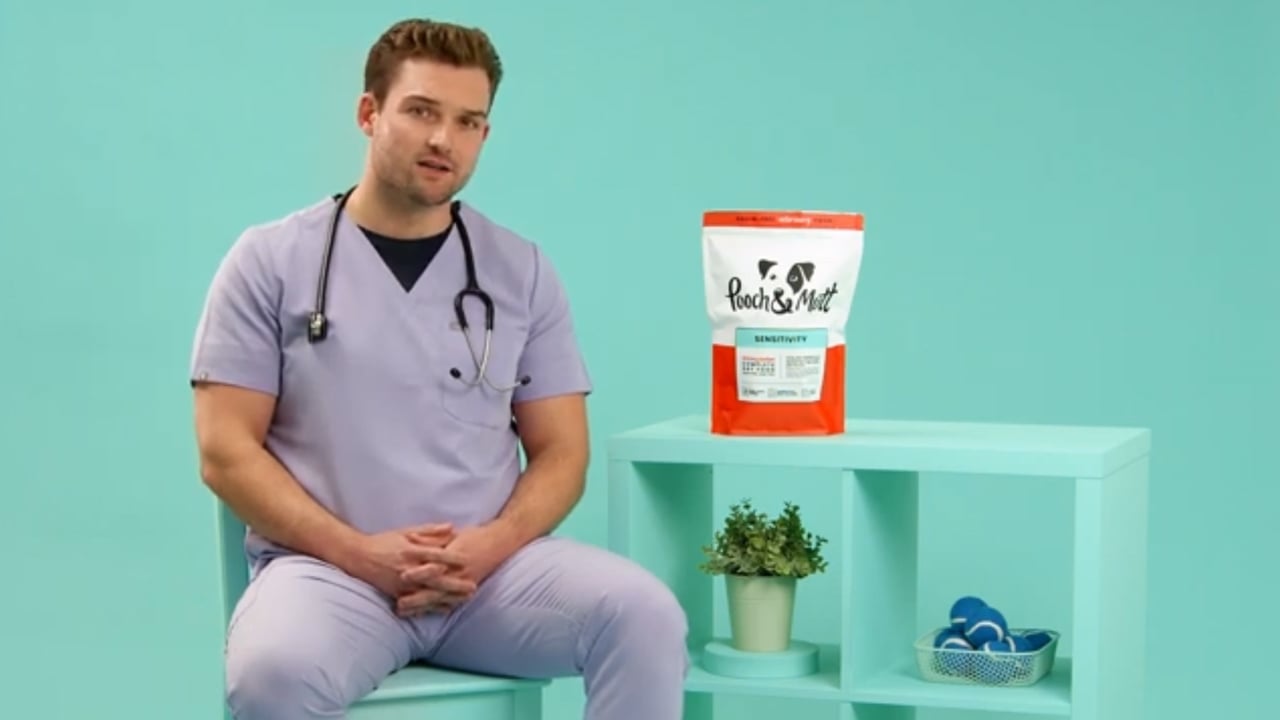POOCH & MUTT VET TALKS TV