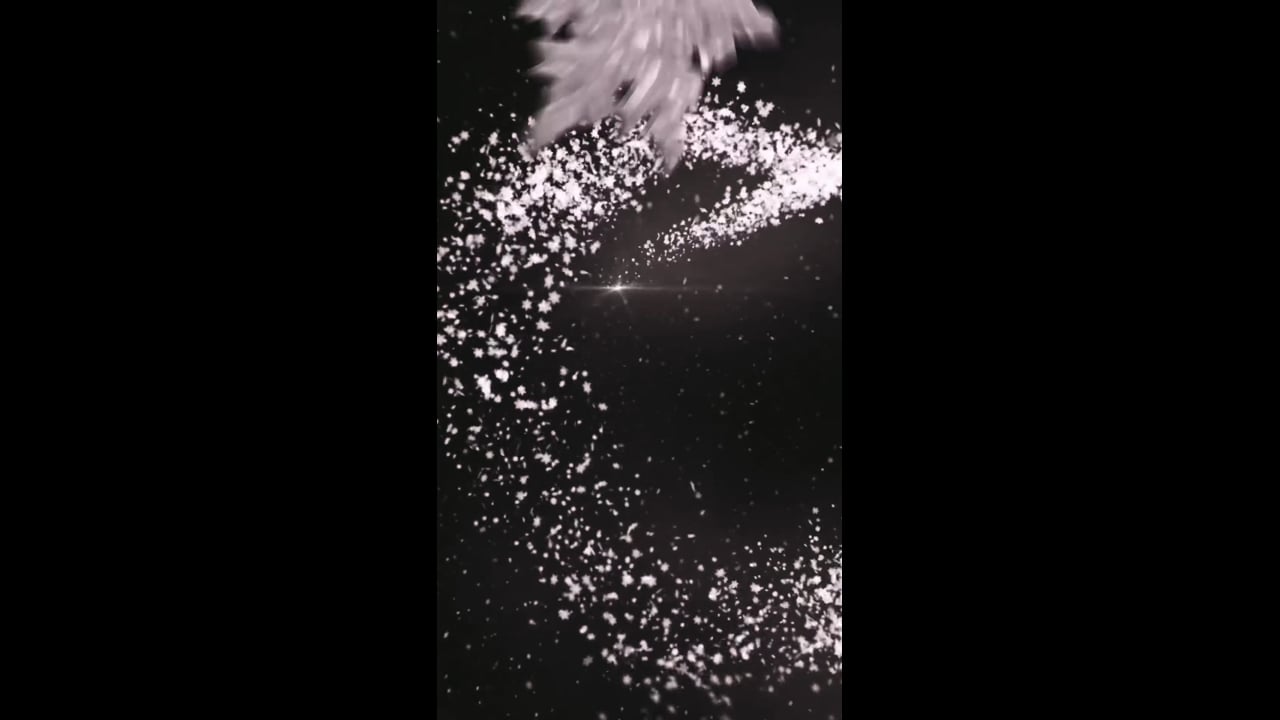 BRIGGATE HOTEL - CHRISTMAS SHORT