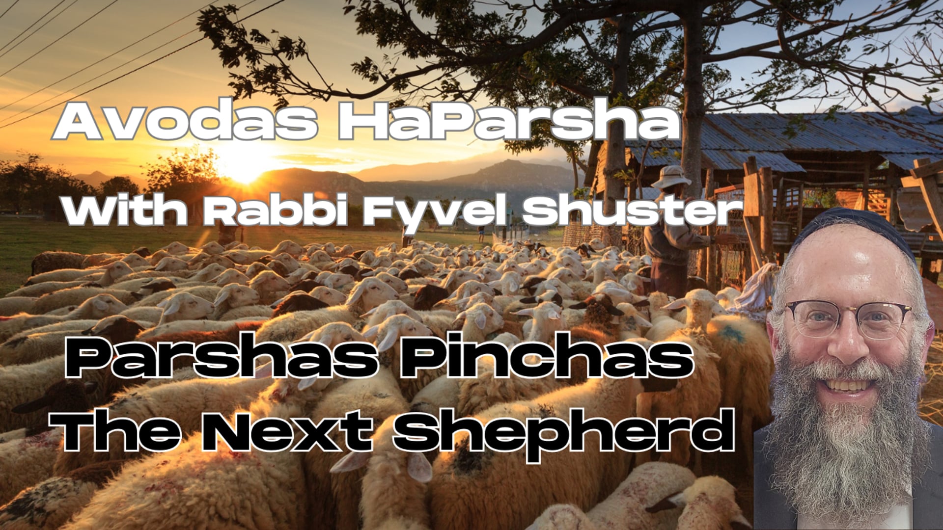 The Next Shepherd - Avodas HaParsha Parshas Pinchas