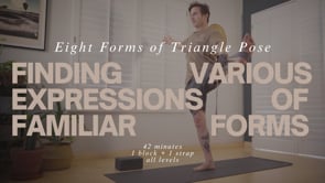 Eight Forms of Triangle Pose