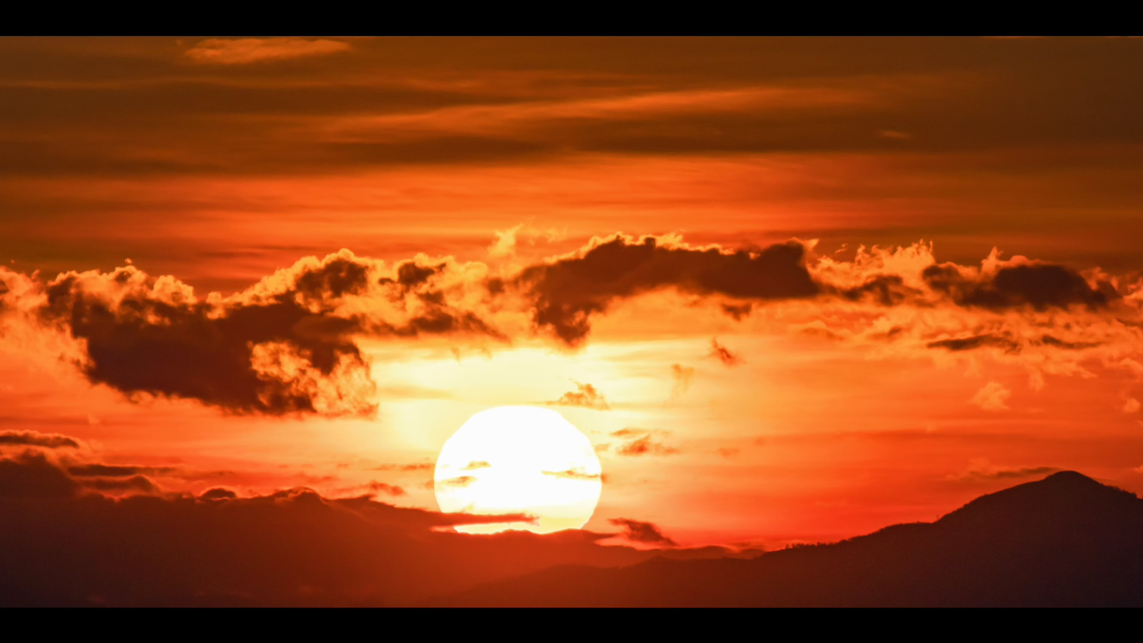 https://i.vimeocdn.com/video/2037528650-49eb8d1b076439009facef12f2707373606b48a9d6a4108d8dd935510b5bfc53-d