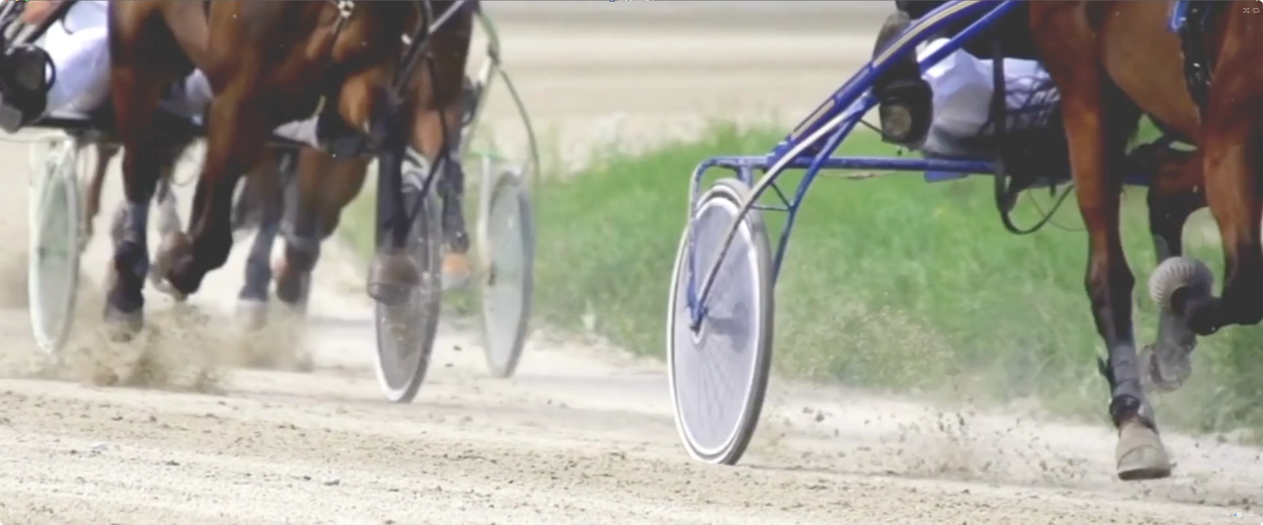 Home - The Meadows Standardbred Owners Association