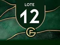 Lote 12