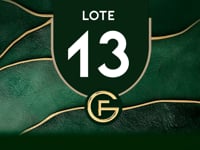 Lote 13